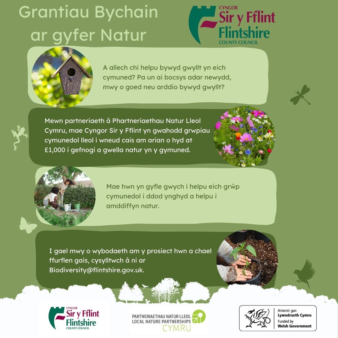 _Small Grants for Nature Promotion Cymraeg (Instagram Post)