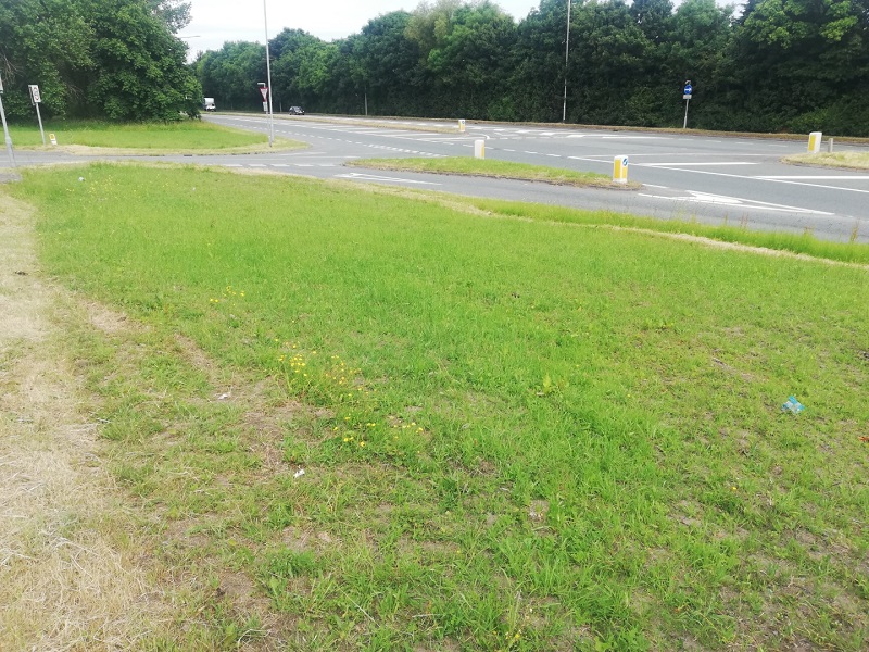 Cut grass in Bagillt