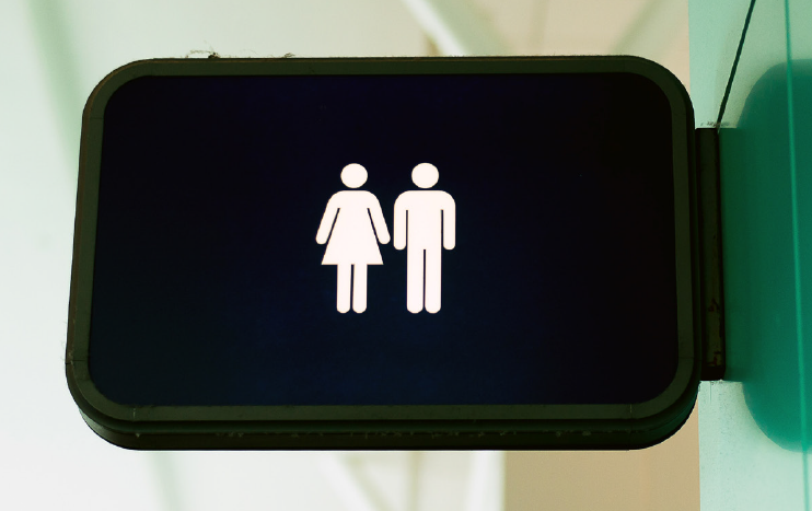 Strategaeth Toiledau Lleol ar gyfer Sir y Fflint