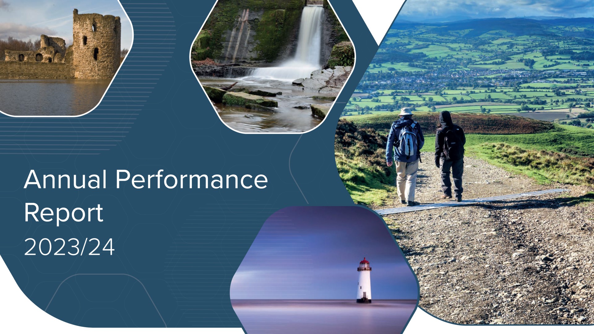 Annual Performance Report