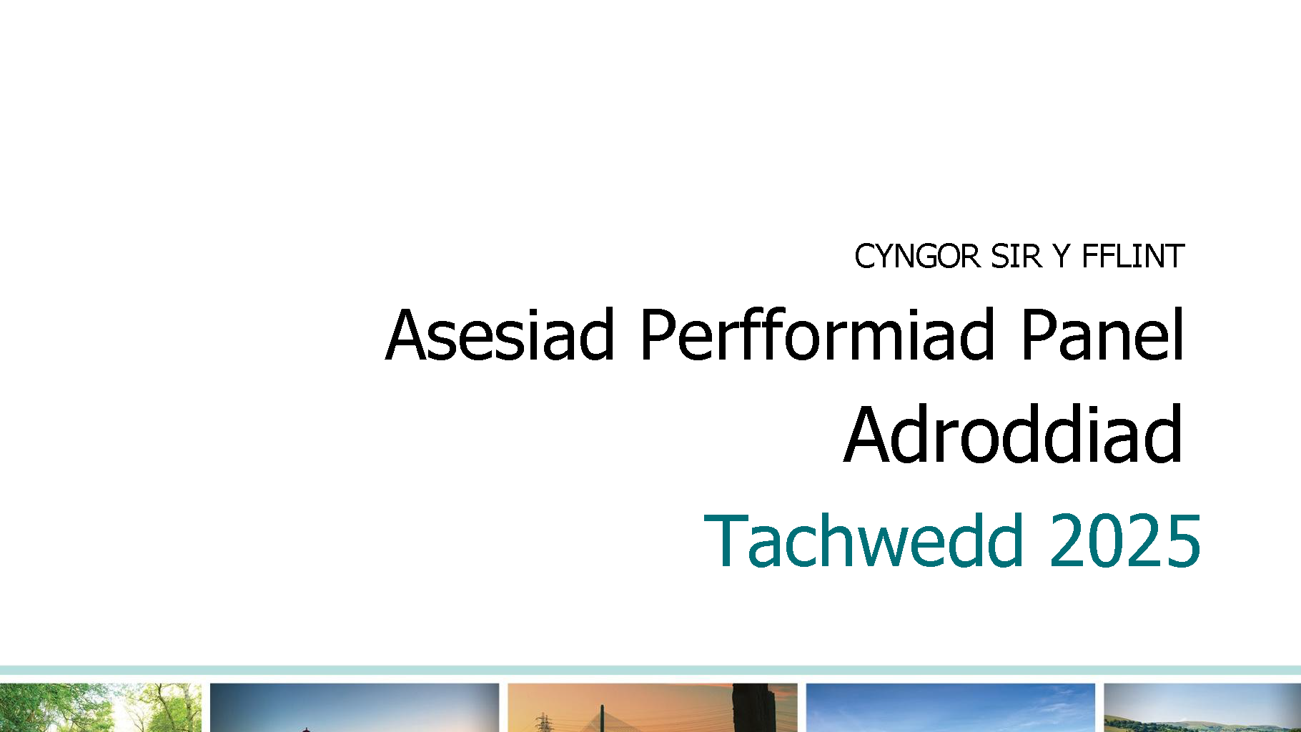 Asesiad Perfformiad Panel