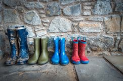 Wellies